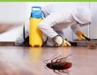 شركة مكافحة حشرات بالاحساء 0538699395